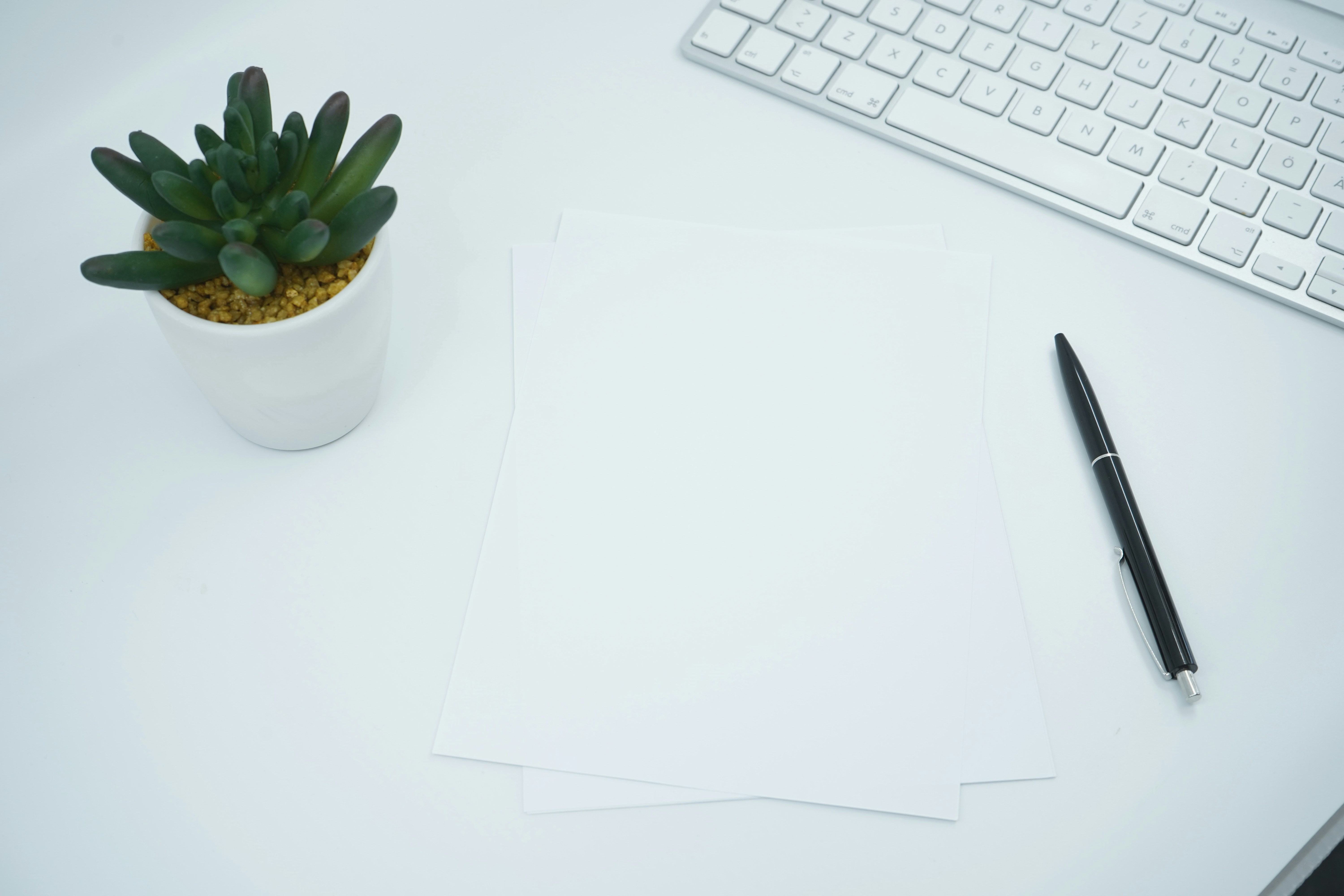Header image for the referrals page - image of a desk with a pen and plantpot on it